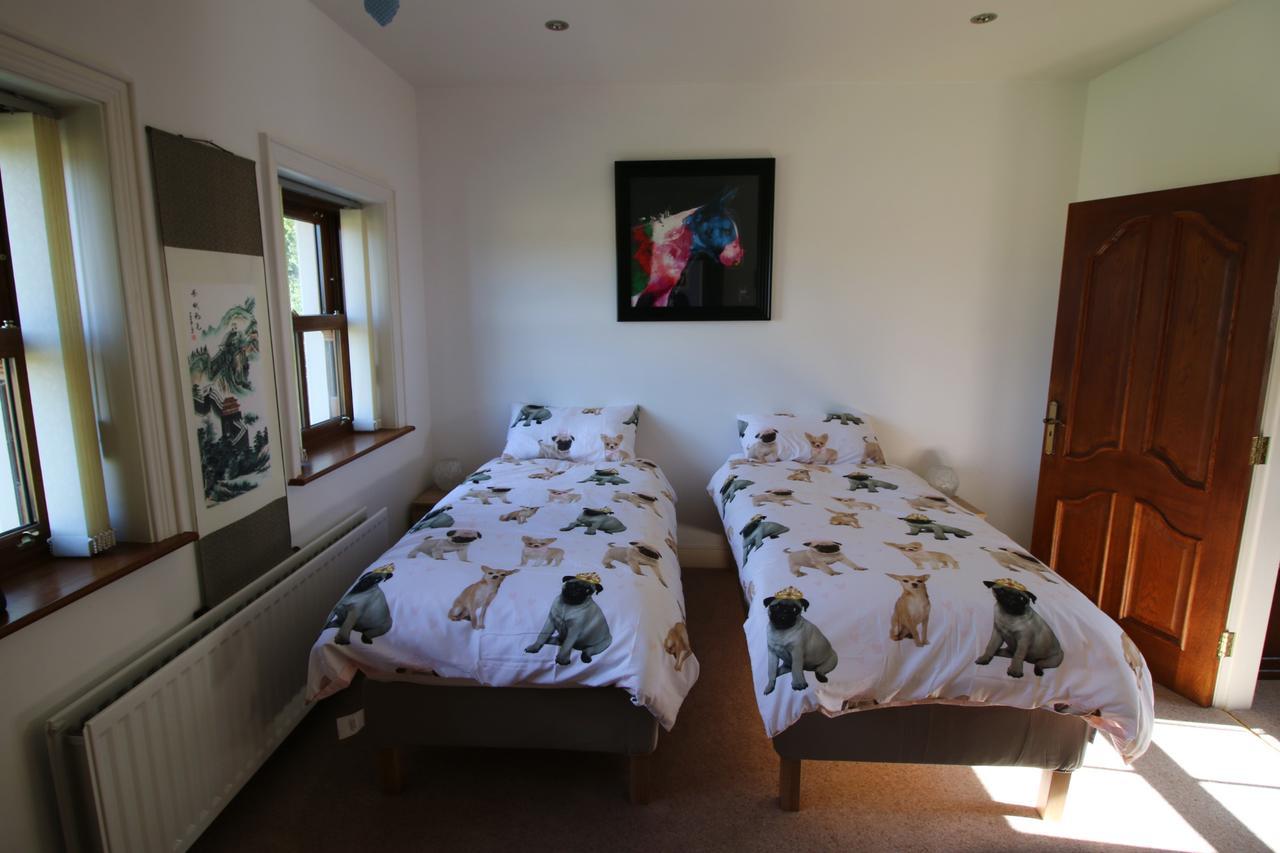 Feetnpaws Bed and Breakfast Portaferry Εξωτερικό φωτογραφία